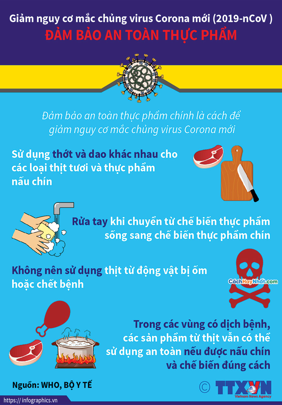 Mẫu Tờ Rơi tuyên truyền, Poster, Pano COVID-19 File Vector Corel #Hướng dẫn đảm bảo an toàn thực phẩm